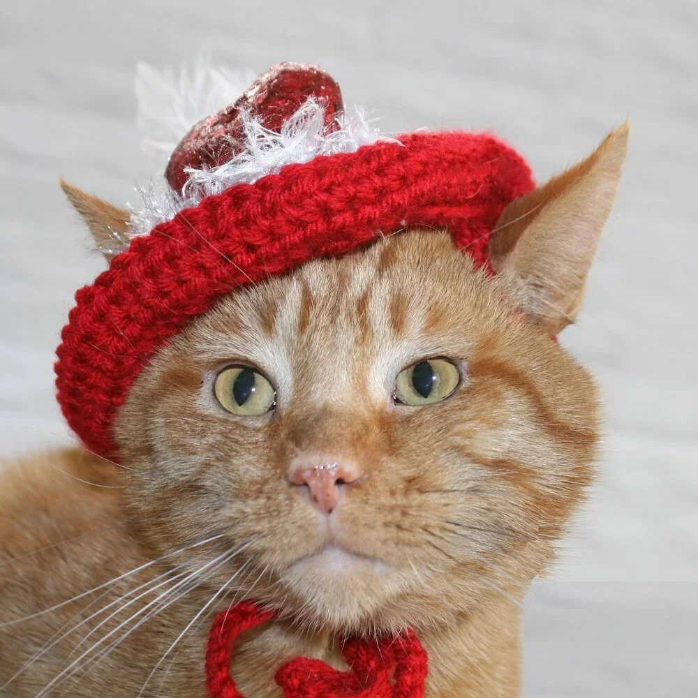 HAND CRAFTED Hat Crochet Valentine's Day Cat Dog Costume Photo Prop Red